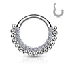 Hinged Segment Hoop Ring – 16G 316L Steel Septum & Daith