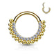 16G Hinged Segment Septum & Daith Clicker Hoop in gold PVD, 316L surgical steel, 8mm/10mm