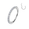 316L surgical steel 20G hinged segment hoop with outward pavé CZ – Silver | Pressha
