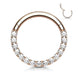 CZ Pavé Septum & Daith Clicker Hoop – 16G 316L Surgical Steel