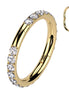 CZ Hinged Segment Clicker Hoop in gold, implant grade titanium, 18G nose ring